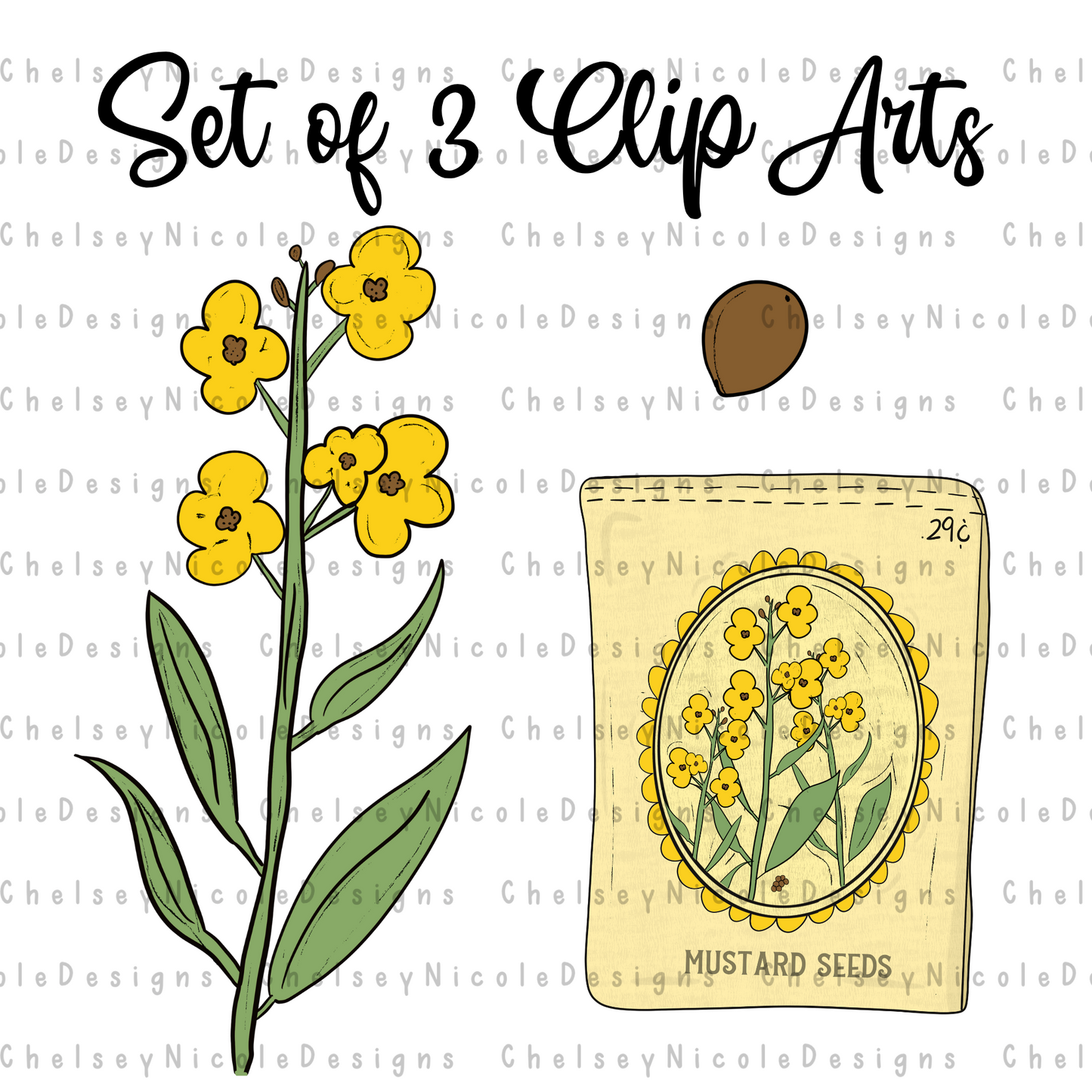 Mustard Seed Clip Art