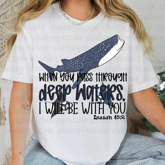 Pass Through Deep Waters PNG
