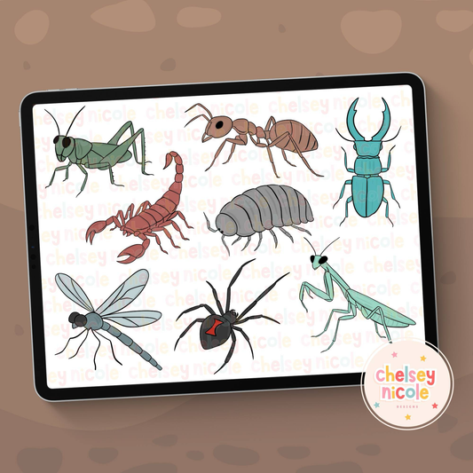 Insects Clip Art Bundle - Bugs, Spiders, Insects Clip art - Commercial Use Clipart