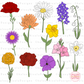 Flower Seed Pack Clipart Bundle