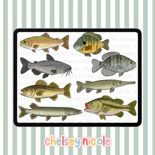 Freshwater Fish Clipart - Commercial Use Allowed
