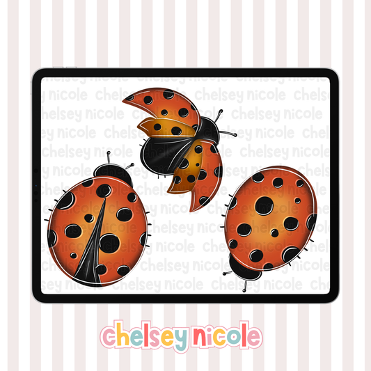 Lady Bug Mini Set